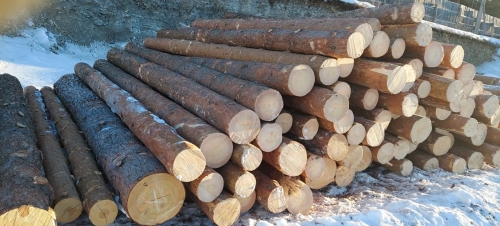 Круглые лесоматериалы (пиловочное сырье, строительные бревна)